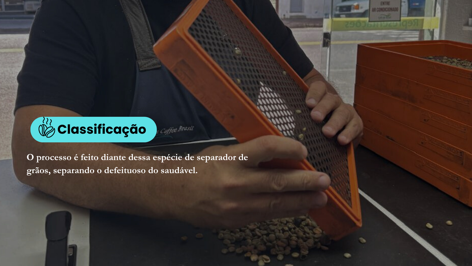 Classificação de Grãos