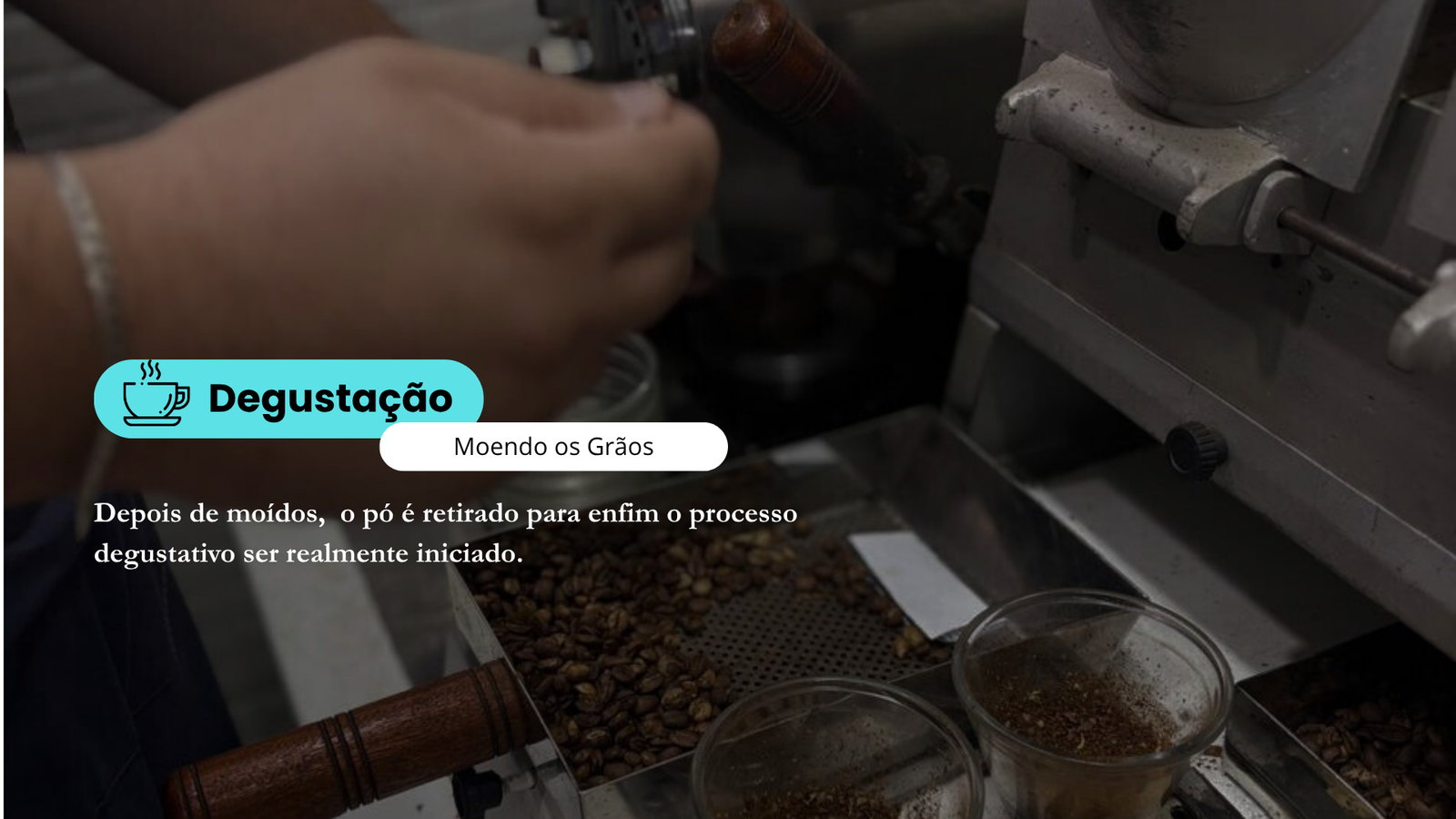 Pó de café retirado após a moagem