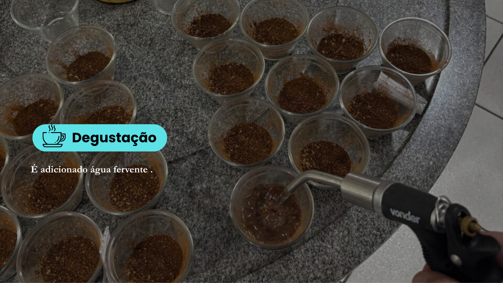 Detalhes do processo